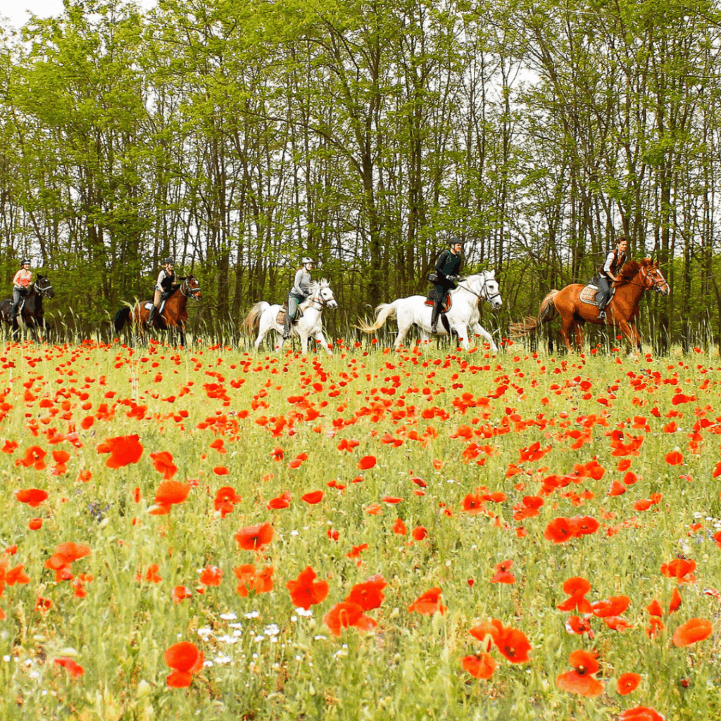 Puszta Plains